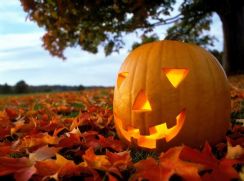Pumpkin in Field.jpg