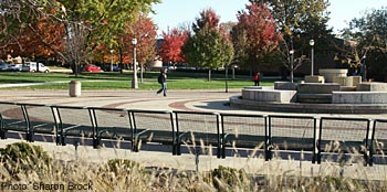 student park.jpg