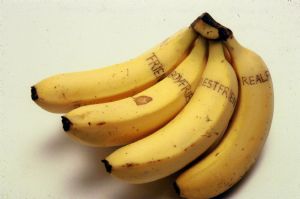 Banana Drawing.jpg