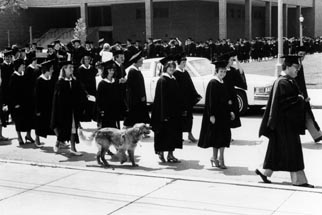 82 Grad March Dog.jpg