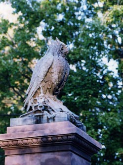 owl can044.jpg