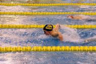 swimteam_feature.jpg