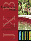 Journal-Exp-Botany-June2010.jpg