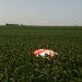 photo-base49beanfield.jpg