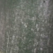 photo-BASE44shadowlanding.jpg