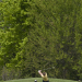 DSC_6401m.jpg