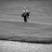 DSC_6420mb.jpg
