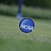 Tee Markers (2).JPG