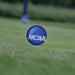 Tee Markers (3).JPG
