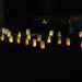 D2X_2715.JPG