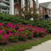 DSC_7171.JPG