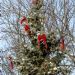 DSC_2942.JPG
