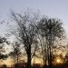 _DSC3503rf.JPG