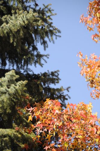 _DSC2746A.JPG