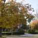 _DSC2008.JPG