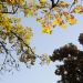 _DSC2067.JPG