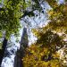 _DSC2093A.JPG