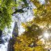 _DSC2095A.JPG