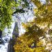 _DSC2096A.JPG