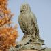 _DSC2190A.JPG