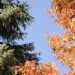 _DSC2744A.JPG