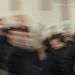 vocal_Panorama2b.JPG