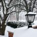 IMG_5354.JPG