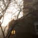 _MG_3939.jpg