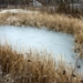 _MG_4346.jpg