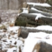 _MG_4353.jpg