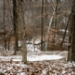 _MG_4355.jpg