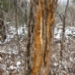 _MG_4359.jpg
