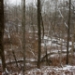 _MG_4361.jpg