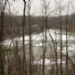 _MG_4347.jpg