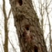 _MG_4356.jpg