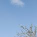 photo-50__DSC5972b_rf.JPG