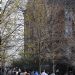 11__DSC8152_rf.JPG