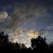 photo-27_Newcomer_Pano4_RF.JPG