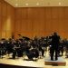 17__DSC6866.JPG