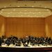 56__DSC7056.JPG