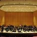 57__DSC7057.JPG