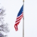 _MG_4586.jpg