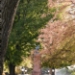 _LGL2925.jpg