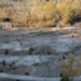 01_20101007_085501Thu_RF.JPG