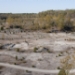 09_20101006_103428Wed_RF.JPG