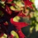 02_091329_RF.JPG