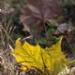 13_124055_RF.JPG