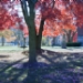 _LGL4891.jpg