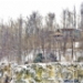 _LGL5684.JPG
