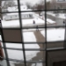 20100215_165507b.JPG
